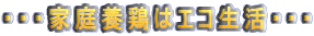 ・・・家庭養鶏はエコ生活・・・